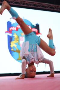IMG 4931